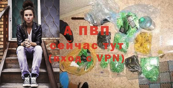 эйфоретик Покачи