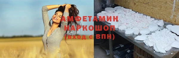 индика Аркадак