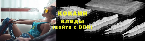 индика Аркадак