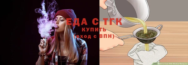 индика Аркадак