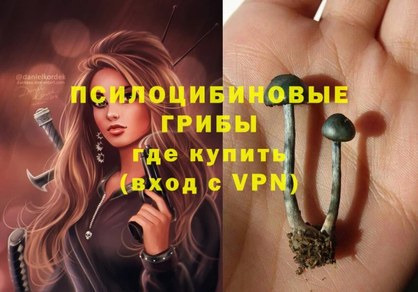 индика Аркадак