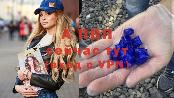 эйфоретик Покачи