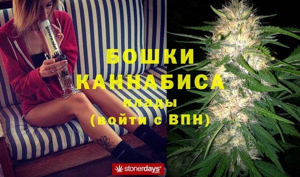 сатива Армянск