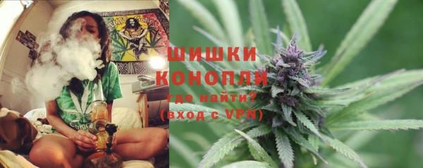 индика Аркадак
